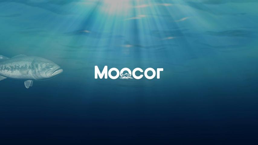 Underwater Video Fishing Camera MOQCQGR with Infrared light,480P Winter Fishing Camera,15m Fish Finder,5000mAh Battery