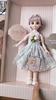 Подарочная коробка Dress Up Doll Toy Подарочный набор Little Girl Girl Girl Toy Princess Doll