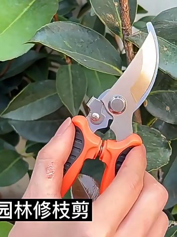 Ножницы Seiko Art Park для обрезки веток, Специальные ножницы для обрезки веток, Обрезка садовых фруктовых деревьев, Бытовые ножницы