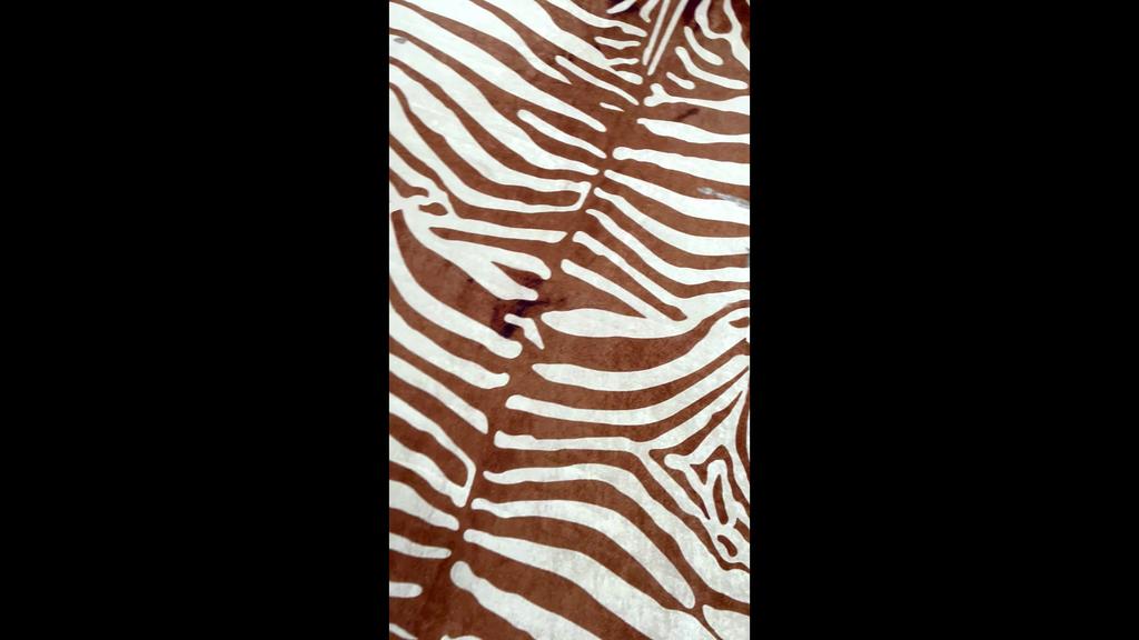 EPeddler Home Modern Zebra Pattern Digital Printing Washable Non-Slip Leather Base New Generation Living Room, Bedroom, Hallway Carpet
