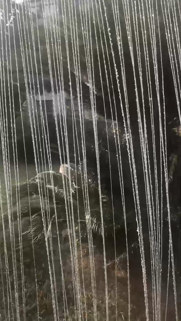 Декор для дверей и окон Москитная сетка Бахрома Кисточка Шторы Шторы с блестками Шторы для комнаты