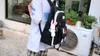 Four-Piece Backpack Set Junior High School Students' Lightweight Schoolbag Women's Large Capacity Backpack for Grade Three To Five and Six