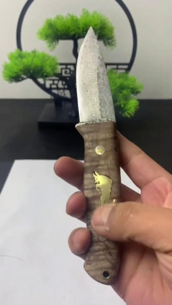 Damascus Knife Boning Meat Cutting Fruit Vegetables Kitchen Knives Damascus Steel Wooden Handle Utility Knives Chef Cooking Tool