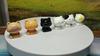 6Pcs/set Cartoon Mini Pet Cat Miniatures Resin Animal Ornament Fairy Garden Decoration Moss Terrarium Micro Landscape