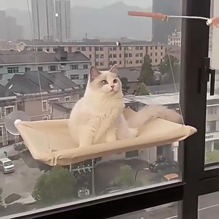 Гамак для кошек, милые подвесные кровати, удобное солнечное сиденье, крепление к окну, товар для животных, мягкая полка для домашних животных, принадлежности, съемный подшипник, 20 кг