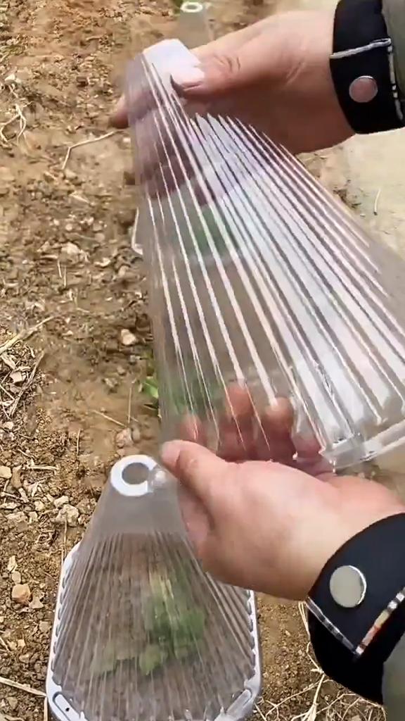 10Pcs Growth Box Planting Tent Reusable Square Use Plant Clock Cover To Protect Plants From Bird Frost and Snail Damage Green