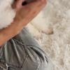 Мягкая флисовая одежда для собак, зимний теплый свитер для щенков и котят, одежда для маленьких собак, одежда для чихуахуа и бульдога, свитер для собак
