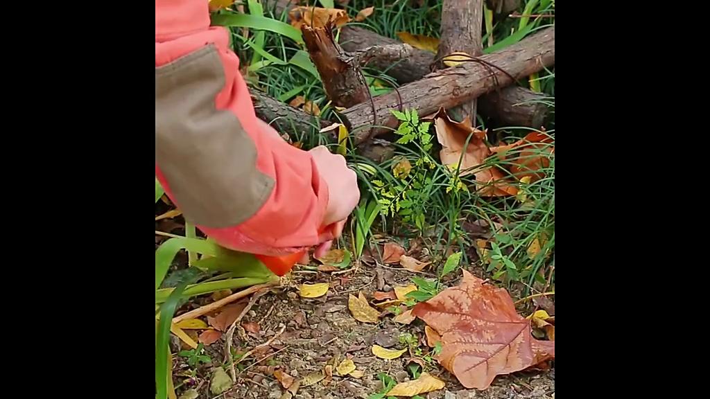 3500 Вт газовая плита для кемпинга, ветрозащитная уличная газовая горелка, портативная складная разделенная туристическая экипировка для приготовления пищи, пешего туризма