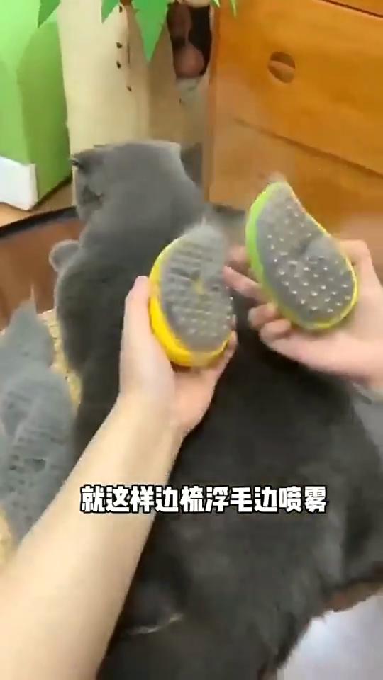 Pet Steam Spray Comb Cat Comb Cute Cat Claw Shape Refillable Liquid Pet Cleaning Massage Bathing Comb Pet Products Accessories