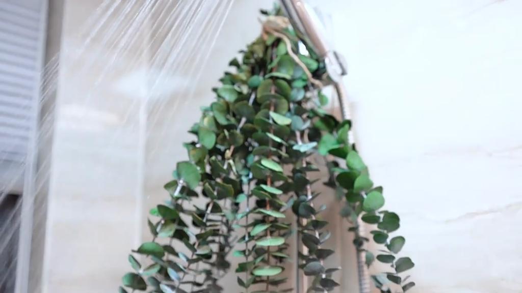 12 шт сушеный эвкалипт для подвешивания душа - консервированные стебли эвкалипта зеленый домашний декор, декор для душа в ванной, свадьба, сделай сам