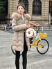 Fashion Winter Coat Female Long Parkas Hooded Faux Fur Collar Loose Thick Women's Jackets