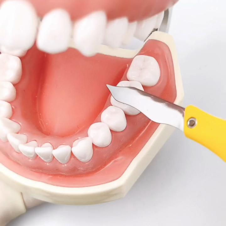 Dental Wax Carving Tool Putty Knife Impression Silicone Putty Cut Shaping Cutter Supplies Wax Carving Shape Mold Blade Trimmer