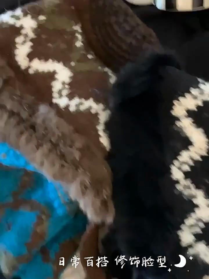 Thickened Plush Knitted Hat Ear Protection Rabbit Hair Hat Autumn And Winter New Warm Wool Hat Fisherman Hat Women's Hat