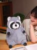 Raccoon Stuffed Animal Plushie, Cute Raccoon Plush Pillow, Raccoon Cuddly Body Pillow Hug Sleeping,Fluffy Animal Toys Bed Decor Toy Doll