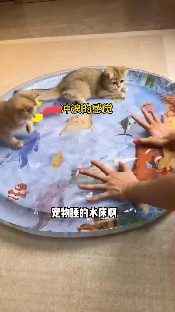 Сенсорный водный коврик Утолщенный Сенсорная игра Водный сенсор Коврик для кошек Товары для питомцев Чистка Охлаждающий коврик Лето Кошка Домашние животные Аксессуары