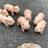 5/6 Inch Silicone Pig Doll Toy Mini Soft Lifelike Silicone Pig Doll Miniature Reborn Silicone Pig With Accessories For Kids Gift