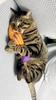 Interactive Catnip Fish Toy Cats, Soft Plush Cat Kicker Toy with Crinkle Sound, Durable Bite-Resistant Fish Chew Toy for Kitten Teeth Cleaning