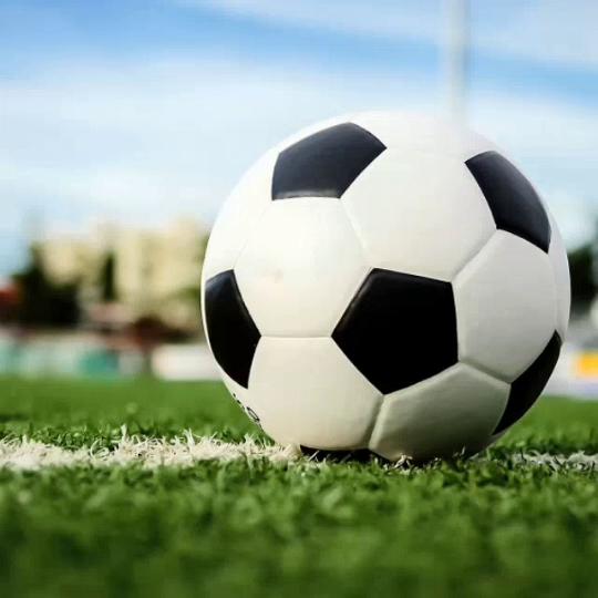 THAILAND National Football Soccer Training JERSEY CHEER Fan Version Quick Dry Shirt Polo Polyester Short Sleeve Uniform Elephant Logo Sport Outdoor