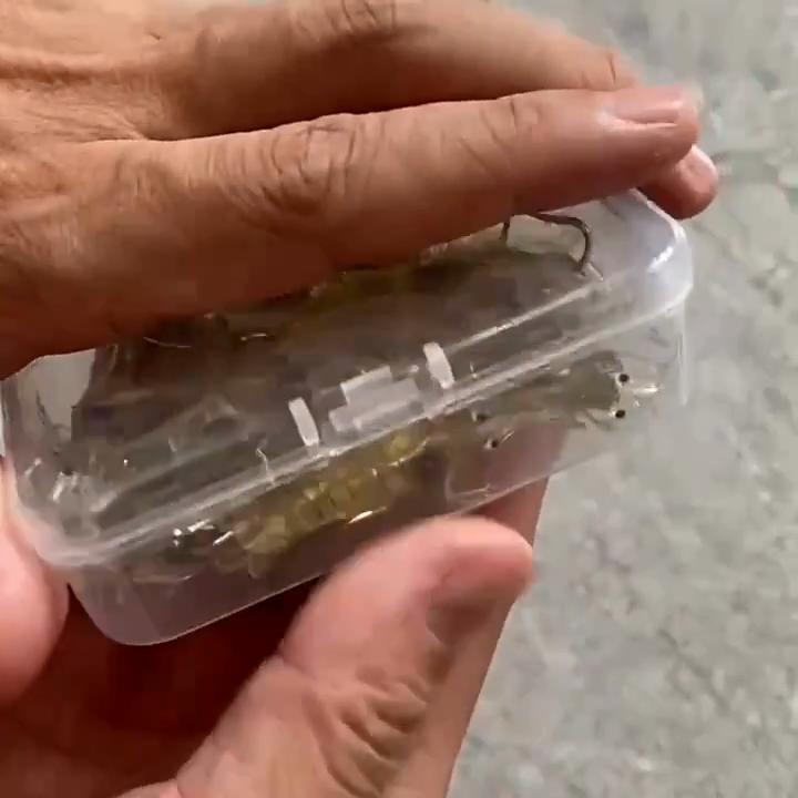 Soft Simulation Fishhook Shrimp Prawn Lure Hook Tackle Bait Fishing Lures Artificialbait Luminous Shrimp 4cm