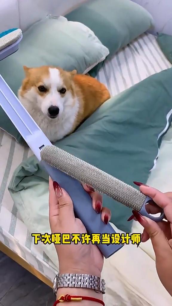 2-in-1 Pet Hair Removal Brush - Washable and Reusable, Suitable for Dog Hair On Carpets and Sofas