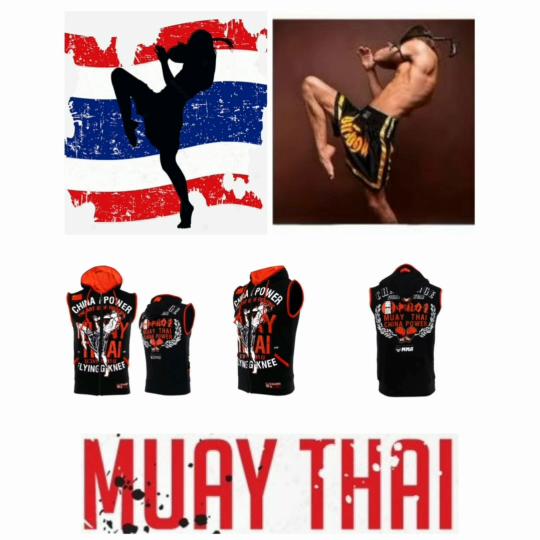 Муай Тай Кикбоксинг UFFC MMA Смешанные Боевые Искусства Куртка Толстовка Худи Мужская Женская Детская Унисекс Без Рукавов Принт Спорт Зал Фитнес Тренировка