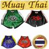 Шорты для тайского бокса, кикбоксинга, смешанных боевых искусств, ретро-винтажные штаны с принтом 3D, эластичная талия, боевые искусства, быстросохнущие, унисекс, для мужчин и женщин