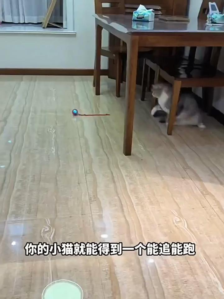 Cat Toy Ball Teasing Cat Rolling Ball Hair Pet Relieve Boredom Plush Teasing Cat Ball Cat Toys Pet Pet Toys Interactive Cat Toy