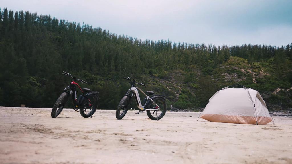 DUOTTS F26 1500W Dual Motor Electric Bike | 120km Range, 55km/h Speed, Samsung Battery | Adults - All Terrain - Off-Road