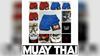 Berserk Muay Thai Kick Boxing UFC MMA Mixed Marcial Art Shorts Anime Men Women Unisex Double Layer Quick Dry Breathable Sport Gym Fitness Workout