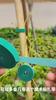 20/2M Nylon Plant Ties Plant Bandage Hook Tie Loop Adjustable Plant Support Reusable Fastener Tape for Home Garden Accessories