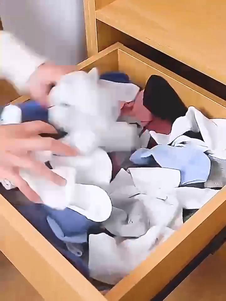 Jeans Storage Box,Clothes Pants Storage God Storage Basket,Underwear Sundry Storage Drawer,Compartmentalized Organizer