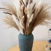 115Pcs Boho Chic Fluffy Pampas Grass & Bunny Tail Dried Flowers Bouquet - Perfect For Home Decor, Weddings & Parties Bouquet Accessories Flower Decor