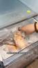 10Pcs Large Capacity Zip Lock Aluminum Foil Storage Bags Leakproof Freezer Safe Reusable Food Packaging Pouches