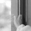 1 шт. Подъемник крышки унитаза Многофункциональный открыватель дверей и шкафов Компактный круглый подъемный механизм для дверей туалета, окон, шкафов и холодильника