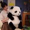 25-50 см Очаровательная Основа Симуляция Реалистичные Гигантские Панды ФуБао Плюшевые Игрушки Каваи Мягкие Игрушки Медведи Кукла-Успокоитель для Малышей Подарки