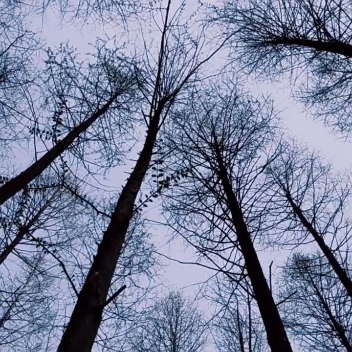 Ultralight Aluminum Folding Table Portable Mini Camping Desk Compact Design for Tent Picnic Outdoor Travel Tea Party