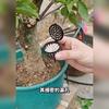 10 шт./компл. корзин для удобрений с крышкой для орхидей, садовых горшков для рассады бонсай, переносных автоматических горшков для удобрений