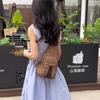 Women's Chest Bag Crossbody Bag Large Capacity Shoulder Bag Multi-Pocket Bag Mobile Phone Bag