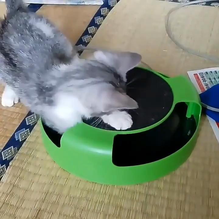 Интерактивная игрушка-вертушка для кошек с головоломкой, игровой доской для кошек и забавной мышью, игрушка для маленьких кошек