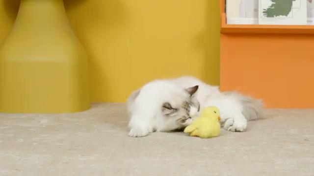 Машущая крыльями утка, игрушки для кошек, интерактивные электрические игрушки-птицы, моющаяся плюшевая игрушка для кошек, датчик вибрации, игрушка для игры кошек