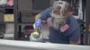 Полнолицевая маска-респиратор 6800 с фильтрами, противотуманная, для сварки, покраски, полировки и защиты безопасности