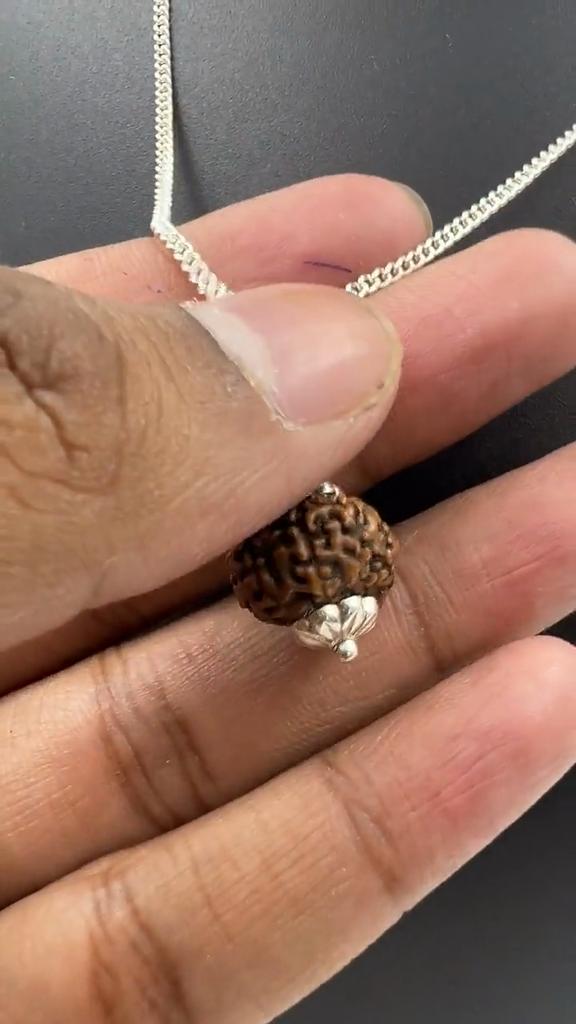 10 Mukhi Indonesia Rudraksha Pendant|925 Silver|Certified Jewelry|Ten Face Rudraksha Necklace|Healing Pendant|Genuine Rudraksha Bead