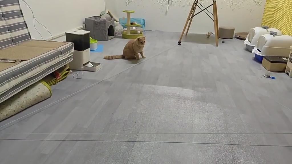 New Running Cat Toy Cat Weight Loss Artifact Feather Interactive Cat Toy Remote Control Sound Toy