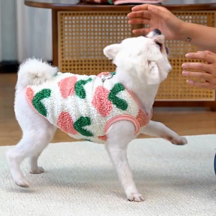 Winter Warm Dog Clothes Cute Puppy Coat Soft Plush Pet Clothes for Small Medium Dogs Chihuahua Yorkie Costume Dog Accessories