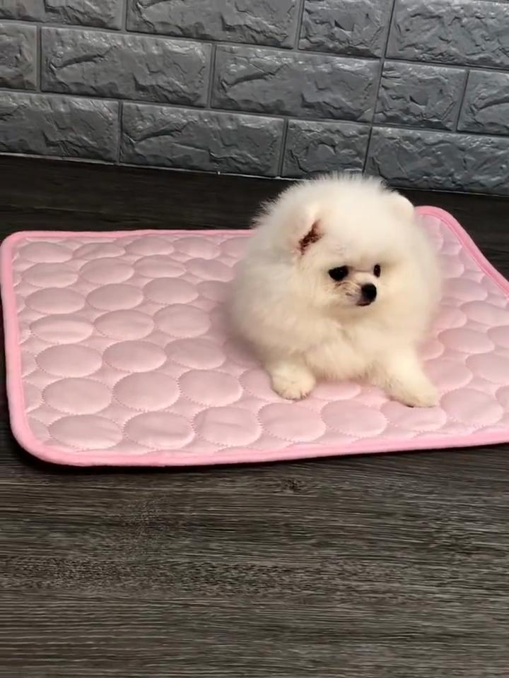 Dog Mat Cooling Summer Pad Mat For Dogs Cat Blanket Sofa Breathable Pet Dog Bed Summer Washable For Small Medium Large Dogs Car