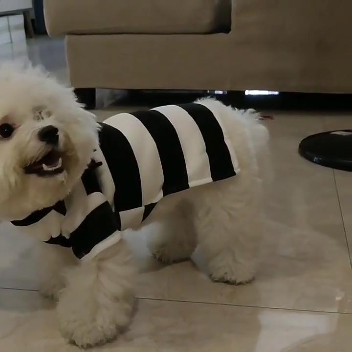 Striped holiday thickened pet supplies kitten puppy outing dog walking dress up winter heattech dog clothes