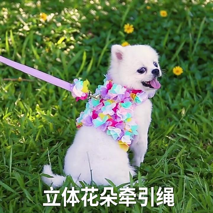 Маленькие и средние собаки, кошки, одежда для домашних животных, нагрудная шлейка, цветы для вытягивания, принадлежности для выгула собак на весну, лето и осень