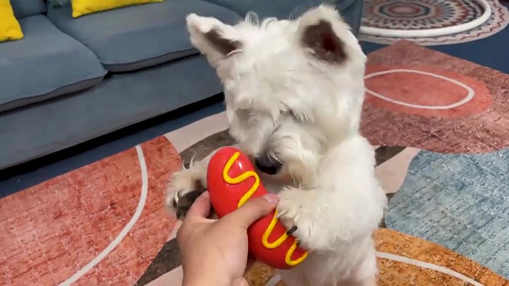 Игрушки для собак TPR Игрушки-пищалки для собак, устойчивые к укусам Эластичные игрушки в форме сосиски для обучения чистке зубов у собак Интерактивные игрушки Товары для животных