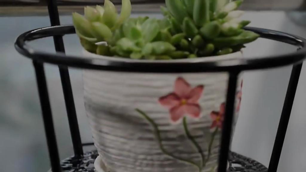 Outdoor Hanging Basket for Plant,Iron Racks Fence Balcony Round Flower Pot Decor,Plant Pots Hanging Planter