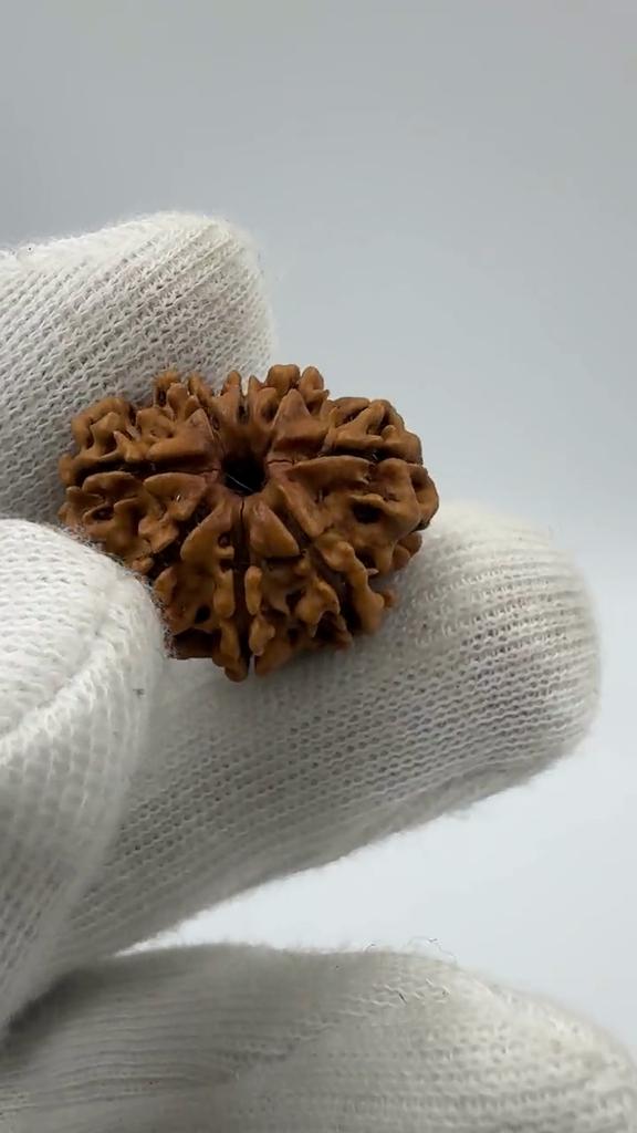 Natural Nepali 8 Mukhi Rudraksha 925 Silver Pendant | Organic & Lab Certified Spiritual Bead for Obstacle Removal, Success & Protection